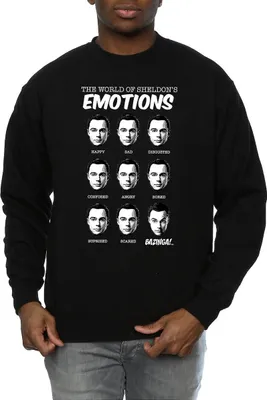 Produktbild von The Big Bang Theory - Sweatshirt für Herren BI575 (L) (Schwarz)