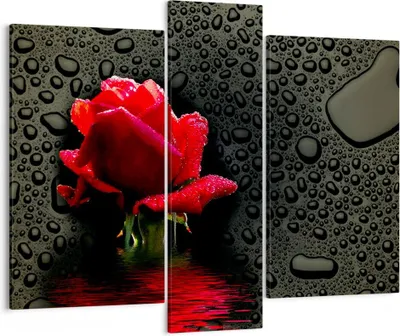 Produktbild von Bild auf Leinwand - Leinwandbild - Blume rote rose wasser tau - 95x80cm - Wand Bild - Wanddeko - Leinwanddruck - Bilder - Kunstdruck - Wanddekoration - Leinwand bilder - Wandkunst - CB95x80-2367