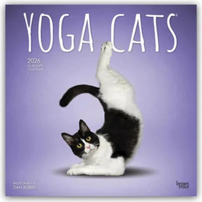 Produktbild von Browntrout: Yoga Cats Official 2026 12 X 24 Inch (Hanging) M