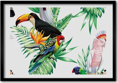 Produktbild von Bild - Bilderrahmen - 100 cm x 70 cm - MDF - Rahmen - Foto - Wandkunst tropische Vögel
