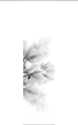 Produktbild von Schiebegardine Digitaldruck Kessi grau 60x245 cm