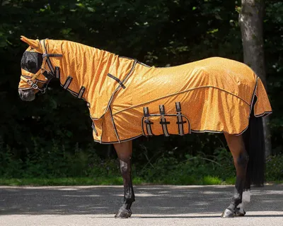 Produktbild von QHP Collection Fliegendecke mit Halsteil und Haube