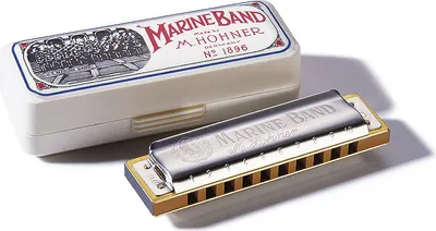 A harmonica and its case are displayed on a white background.