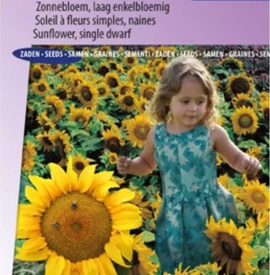 Image de Tournesol Sonnenfleck, fleur unique basse – à l'unité – fleurs jaunes compactes pour le jardin et le balcon – idéal pour les pots et les petits espaces