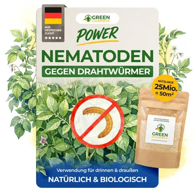 Produktbild von Nematoden gegen Drahtwürmer – 25 Mio. - Effektiv Drahtwürmer bekämpfen, Mittel gegen Drahtwürmer,  Mittel gegen Drahtwurm, Drahtwürmer Kartoffeln