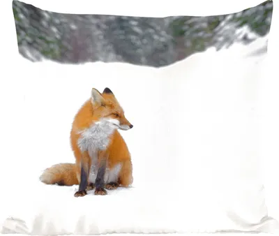 Produktbild von MuchoWow® Zierkissen Sofakissen Wohnzimmer Dekokissen 60x60 cm Fuchs - Schnee - Winter - Sitzfläche - Foto Polster