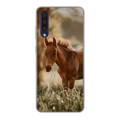 Produktbild von MuchoWow® Handyhülle Schutzhülle Hülle für Samsung Galaxy A30s Pferd - Licht - Wiese Silikon Softcase Handy Hülle - Karteninhaber