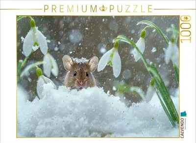 Produktbild von CALVENDO Puzzle Die Schnee-Mäusekönigin | 1000 Teile Lege-Größe 64x48cm Foto-Puzzle für glückliche Stunden