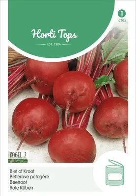 Produktbild von Rote Rüben Rote Kugel 2 Detroit | Rübensamen von Hortitops