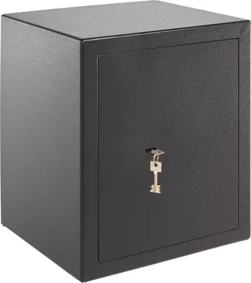Image de Coffret fort BURG WAECHTER Homesafe H240S - Serrure à clé - 41120
