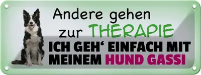 Produktbild von vianmo Blechschild 10x27 cm mit Hund Gassi gehen Tier Haustier