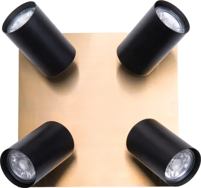 Produktbild von Näve Leuchten Deckenleuchte FRIDA mit GU10 Deckenleuchte FRIDA mit GU10 Deckenleuchten - 4er Wand-/Deckenleuchten "FRIDA" L/B: 22cm schwarz/gold, Deckenlampe im Modern Style, aus Metall in schwarz-gold, 22 x 22 x 13,5 cm, GU10-Fassung