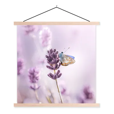 Produktbild von MuchoWow® Textilposter Lavendel - Schmetterling - Nahaufnahme - Lila 40x40 cm mit holzfarbenen Rahmen - Posterleiste