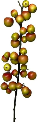 Produktbild von Künstlicher Malus-Zweig 70cm grün/rot