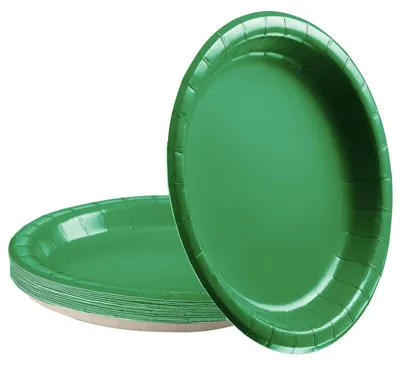 Zdjęcie produktu dla Talerze papierowe, zielone, 16 sztuk, średnica 23 cm, okrągłe, jednorazowe, idealne na imprezy