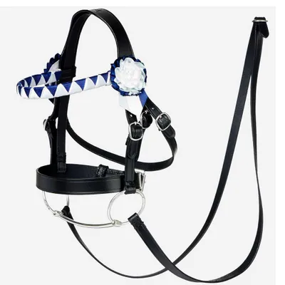 Image de Filet cuir Farandole pour hobby horse