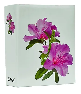 Immagine prodotto di VMC ALBUM per 304 foto 10x15 cm. senza descrizione FIORE BIANCO rosa