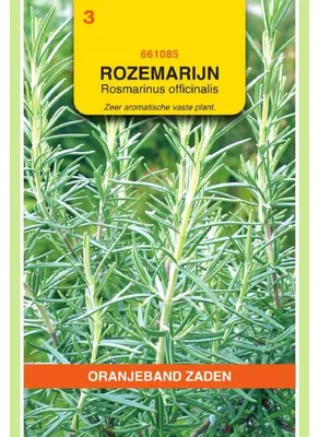Imagen del producto de Oranjeband: Semillas de romero, hierbas aromáticas - 1 paquete de semillas