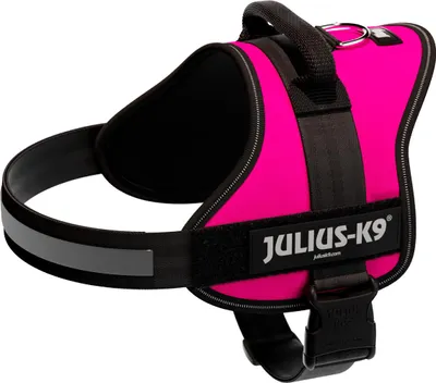 Image de Julius-K9® Harnais de puissance®, Taille 0-3 58–76 cm/40 mm fuchsia