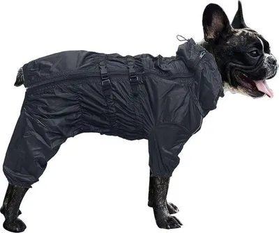 Produktbild von Famanu Hunde-Regenjacke wasserdicht mit hohem Kragen, reflektierenden Streifen und Reißverschluss - Schwarz - M