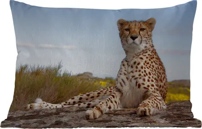 Produktbild von MuchoWow® Outdoor Kissen - Leopard - Tiere - Natur - 50x30 cm - Wetterfest - Lounge Kissen - Sofa kissen - Wohnzimmer Dekoration