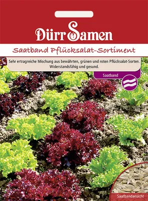 Produktbild von Dürr-Samen - Saatband Pflücksalat-Sortiment - Saatgut - 1214