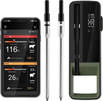 Produktbild von Bluetooth Fleischthermometer kabellos, WP-04SUS304, IP67 wasserdicht, FSTN Display, 100 °C Präzision, wiederaufladbar, Grill & Ofen Probe