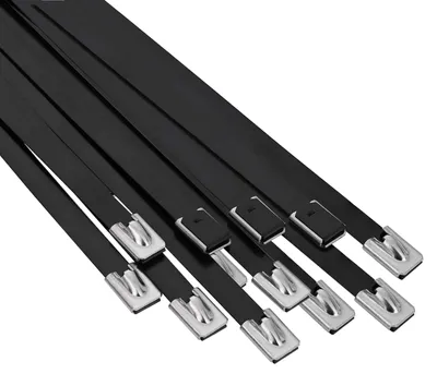 Productafbeelding van vidaXL Kabelbinders, 12 stuks, 7,9 x 700 mm, zwart