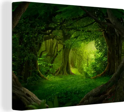 Produktbild von MuchoWow® - Leinwandbilder - Bäume - Wald - Grün - Landschaft - Natur, Wandbild, Wanddeko Bilder Wohnzimmer, 80x60cm