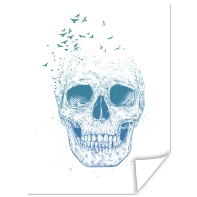 Produktbild von MuchoWow® Poster Totenkopf - Vogel - Blau - Weiß 30x40 cm - Wandplakat - Poster Kinderzimmer
