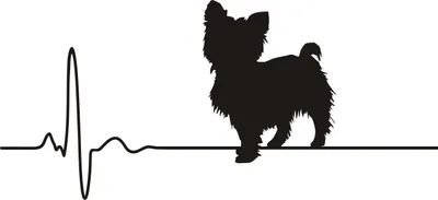 Produktbild von Autoaufkleber - KFZ Aufkleber - Herzschlag Hund - Yorkshire Terrier