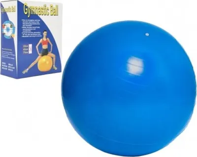 Zdjęcie produktu dla Piłka gimnastyczna 65 cm rehabilitacyjna relaksacyjna 16 x 22 cm