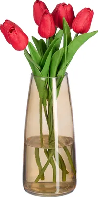 Image de Vase Relaxdays, vase en verre pour fleurs, vase de table en verre, grand vase à fleurs, vase décoratif, dimensions H x P : 21,5 x 10 cm, marron