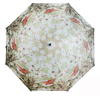 Produktbild von Regenschirm - Stockschirm - Schmetterlinge Blumenwiese Naturmotive