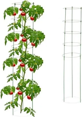 Obrázek produktu pro Podpěra pro rostliny 150 cm, sada 2 ks