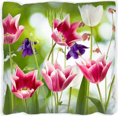 Produktbild von Wallario Premium Kissen, weiche Oberfläche, mit Motiv Blühende Blumen im Frühling in pink und weiß, Größe: 40 x 40 cm, mit weißer Rückseite