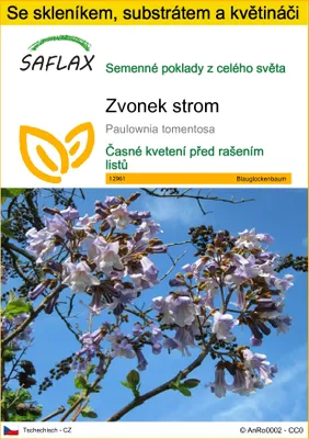 Obrázek produktu pro SAFLAX Kultivační sada - zvonek strom - Paulownia tomentosa - 200 Semena - S mini skleníkem, pěstebním substrátem a 2 květináči