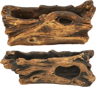 Produktbild von Holzplanter für Zierpflanzen - Set aus 2 Holzstümpfen