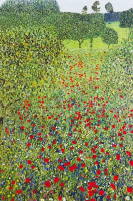 Produktbild von Gustav Klimt Kunstdruck Bild - Mohnblumenwiese 1907, (180 x 120 cm)