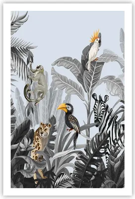 Produktbild von Poster - Poster ohne Rahmen - Dschungel Tiere Tukane - 61x91,5 cm - Wand Bild - Wanddeko - Wandbilder - Kunstposter - Wandposter - Bilder - Kunstdruck - Wanddekoration - Wandbild - P2XPA61x91-4662
