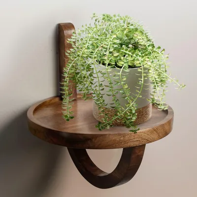 Immagine prodotto di Mensola a muro 30x33x30 cm in legno massiccio mango rotonda moderna | Wohnling