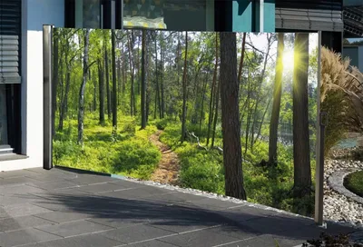Produktbild von Seitenmarkise mit Fotodruck Wald