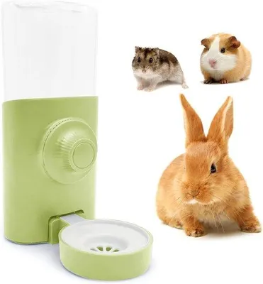 Image de Abreuvoir en plastique pour petits animaux, 600 ml, vert, avec distributeur d'eau suspendu et mangeoire