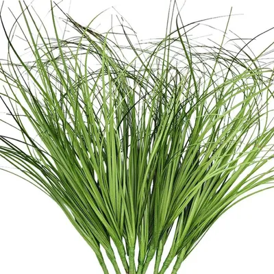 Image de Herbe de blé artificielle Set de 10 - Arbustes verts en plastique 35cm - Décoration intérieure extérieure