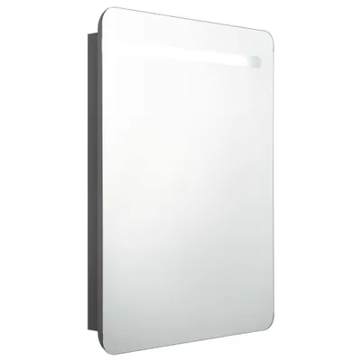 Obrázok produktu pre vidaXL LED zrkadlová skrinka do kúpeľne šedá 60x11x80 cm