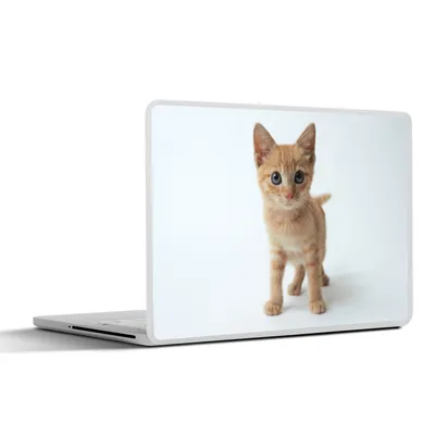 Produktbild von MuchoWow® Laptop Aufkleber Sticker Cover Katze - Rot - Kätzchen - Mädchen - Kinder - Kinder - Kind 31x22.5 cm - Laptop-Deko