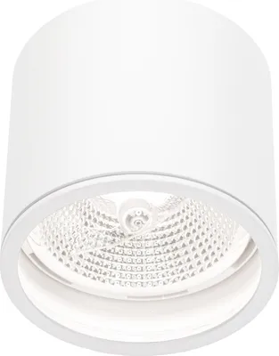 Produktbild von CHLOE AR111 LED Deckenleuchte Ø12cm Außenleuchte IP65 Weiß