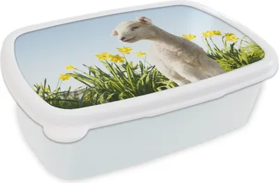 Produktbild von KitchenYeah® Lunchbox Brotzeit Brotdose 17x11 cm Schafe - Blumen - Frühling Kinder Brotzeitdose - Lunch Box - Kinder - Sandwich-Box - Schulbox - Lunch Boxen