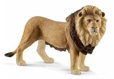 Image de Schleich Wild Life 14812 Lion