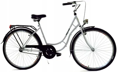 Zdjęcie produktu dla Rower Dallas Retro 28" 1spd - biały z czarnym